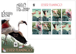 SIERRA LEONE 2017 FDC Lesser Flamingo Kleiner Flamingo Moins Flamant M/S II - IMPERFORATED - DH1729 - Flamants