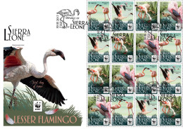 SIERRA LEONE 2017 FDC Lesser Flamingo Kleiner Flamingo Moins Flamant M/S III - OFFICIAL ISSUE - DH1729 - Flamants
