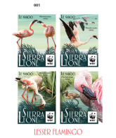 SIERRA LEONE 2017 ** Lesser Flamingo Kleiner Flamingo Moins Flamant M/S DELUXE - OFFICIAL ISSUE - DH1729 - Flamingo