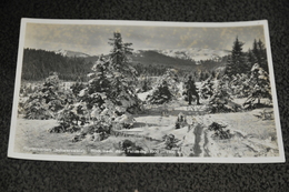 1661- Hinterzarten, Blick Nach Dem Feldberg - Hinterzarten