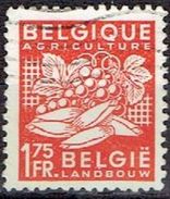 BELGIUM  #  FROM 1948-49  STAMPWORLD 807 - 1948 Export