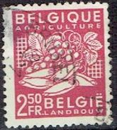 BELGIUM  #  FROM 1948   STAMPWORLD 836 - 1948 Export