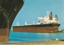 Petrolier LATONA 101A - Tanker