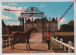 Cpm 6110864 Le Haras Du Pin Exmes (entrée Pouliche) - Exmes