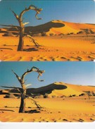 Namibia, NMB-017 And 017a,  Tree In The Desert, 2 Cards, 2 Scans. (SIE 30 And 31) - Namibia