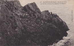 CPA La Pointe Du Raz - Etude De Roche - La Tête De Cochon Et Le Chapeau De Géneral (29706) - Plogoff