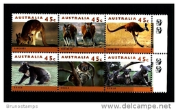 AUSTRALIA - 1994 45c.  KOALAS & KANGAROOS BLOCK  2 KOALAS  REPRINT  MINT NH - Proofs & Reprints