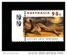 AUSTRALIA - 1999  90c.  EASTERN GREY KANGAROO  2 KOALAS  REPRINT  MINT NH - Probe- Und Nachdrucke