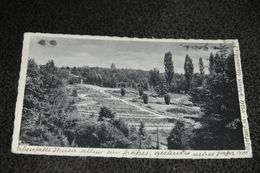 1710- Sangerhausen, Rosarium - Sangerhausen