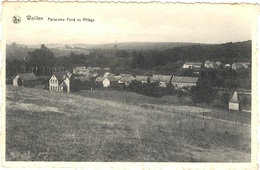 Weillen (Onhaye) Panorama Fond Du Village - Onhaye