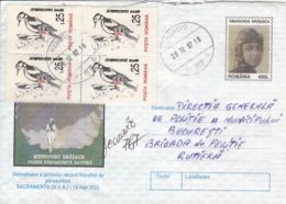 BIRDS, WOODPECKER, FOX, BEETLE, STAMPS ON PARACHUTTING REGISTERED COVER STATIONERY, ENTIER POSTAL, 1997, ROMANIA - Pics & Grimpeurs