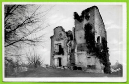 CPSM 44 MACHECOUL - Ruines Du Château ° Les éditions Nozais - Machecoul
