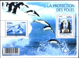 PRESERVE THE POLAR REGIONS-EMPEROR PENGUINS-ALBATROSS-MS-FRANCE-2006-MNH-J-37 - Preservare Le Regioni Polari E Ghiacciai