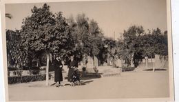 Delcampe - AGADIR LA PLACE  (CARTE PHOTO) - Agadir