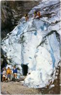 Delcampe - SVIZZERA  SUISSE  BE  GRINDELWALD  Der Obere Grindelwaldgletscher  Eingang Zur Eisgrotte - Grindelwald