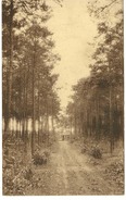 Keerbergen Une Allee Vers La Gloriette Du Bois Fleuri - Keerbergen