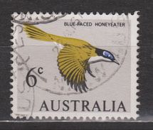 Australie Australia Used ; Bijeneter Honeyeater Abejaruco Guepier Vogel Bird Ave Oiseau - Colibríes