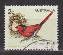 Australie Australia Used : Crimson Vink Finch Pinson Pinzon Vogel Bird Ave Oiseau - Sparrows