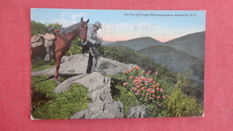 Man Taking Photo's On Top Of Craggy Mountains Near Asheville - North Carolina > Asheville>  Ref 2648 - Asheville