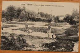 CAILLY LES GRANDES CRESSONNIERES - Other & Unclassified