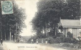 OISE - 60 - VAUMOISE - Chemin De La Gare - Vaumoise