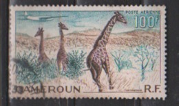 CAMEROUN      N°   PA 47    ( 2 )       OBLITERE  ( O 643 ) - Airmail