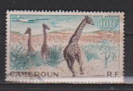 CAMEROUN      N°   PA 47    ( 8 )       OBLITERE  ( O 649 ) - Airmail