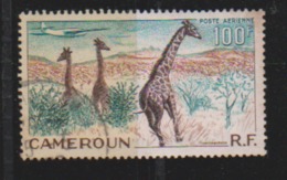 CAMEROUN      N°   PA 47    ( 11 )       OBLITERE  ( O 652 ) - Airmail