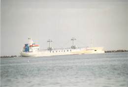 PHOTO Vintage (1999) Cargo Merchant Ship Tankers : " NEPTUNIC " (Kodak +/- 14.7 X 10.1 Cm ) - Comercio