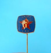 CROATIAN DIVING FEDERATION - Old Pin Badge Scuba Dive Diver Plongee Tauchen Immersione Seahorse Hippocampus Sea Horse - Buceo