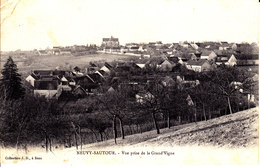 89 . Yonne :  Neuvy Sautour  : Vue Prise De La Grand'  Vigne  . - Neuvy Sautour