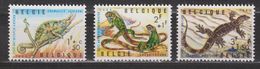 Belgie, Belgique, Belgium, Belgica MNH ; Reptielen, Reptiles, Lizzard, Hagedis 1965 NOW MANY ANIMAL STAMPS FOR SALE - Used Stamps