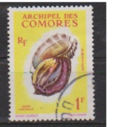 COMORES       N°    20  OBLITERE  ( O 823  ) - Usati