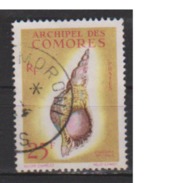 COMORES       N°    24  OBLITERE  ( O 824  ) - Used Stamps