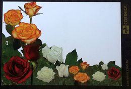 BRAZIL Post Card Roses Rose - Ungebraucht