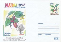 63469- CORNELIAN CHERRY, TREE, FOREST'S MONTH, COVER STATIONERY, 2003, ROMANIA - Bäume