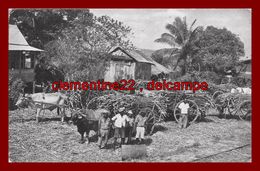 Trinidad , Sugar Cane Awaiting Transport To The Factory   ( Scan Recto Et Verso ) - Trinidad