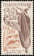Czechoslovakia / Stamps (1961) 1202: Agricultural Crops - Zea Mays (cows; Milk Containers); Painter: Cyril Bouda - Autres & Non Classés