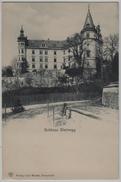 Schloss Steinegg (Thurgau) - Autres & Non Classés