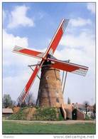 PULDERBOS Bij Zandhoven (Antw.) - Molen/moulin - De Stenen Bergmolen In 1996, Na De Restauratie Opgezeild En In Werking. - Zandhoven