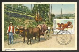 Portugal Carte Maximum Char à Bœufs Transport Vin Du Porto 1979 Ox Cart Port Wine Transportation Maxicard - Vins & Alcools