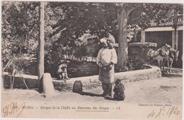 1920,AFRIQUE NORD,Algérie,BLIDA,EL BOULEIDA,dresseur De Singe,georges De La Chiffa Au Ruisseau Des Singes,métier,rare, - Blida