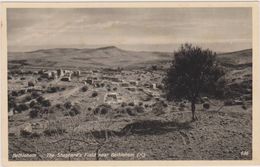 Israel,CISJORDANIE,champ Des Bergers De Bethlehem,shepherd´s Field,rare - Israele