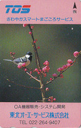 Télécarte Japon / 110-011 - Animal - OISEAU MESANGE / SERIE TOS - TIT Bird Japan Phonecard -  Vogel Telefonkarte - 3968 - Uccelli Canterini Ed Arboricoli