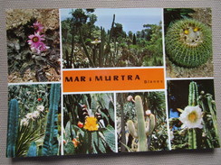 Blanes. Costa Brava. Fundacion Carlos Faust. Jardin Botanico Mar I Murtra. Cactaceas Mexicanas. Mini Ediciones David 129 - Cactus