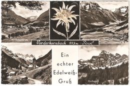 Vorderhornbach - Ein Echter Edelweissgruss - Vorderhornbach 973 M Tirol - Mehrbildkarte - 1968 - Lechtal
