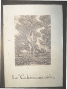 AGRICOLTURA  LA "CALCIOCIANAMIDE"  PROF.F.ZAGO - DR.S.GADDINI  TIP. RIZZOLI 1926 STAMPA RACCOLTA DELLE OLIVE DI CASANOVA - Gardening