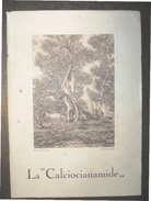 AGRICOLTURA  LA "CALCIOCIANAMIDE"  PROF.F.ZAGO - DR.S.GADDINI  TIP. RIZZOLI 1926 STAMPA RACCOLTA DELLE OLIVE DI CASANOVA - Garten