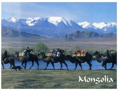 (325) Mongolia - Camel Caravan - Mongolei