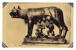 Cpa N° 75 ROME Louve Avec Romulus Et Remus Musée Du Capitole - Museen